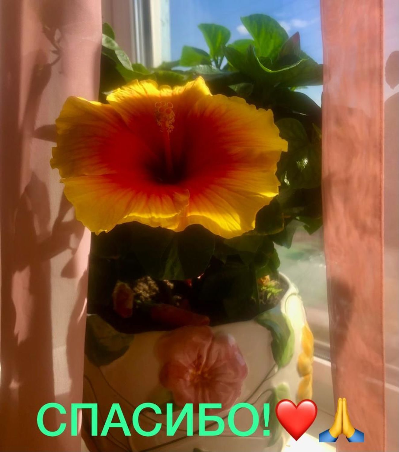 Фото №5 к отзыву покупателя ТатьЯна о товаре Набор салатников 3 шт «Мир»