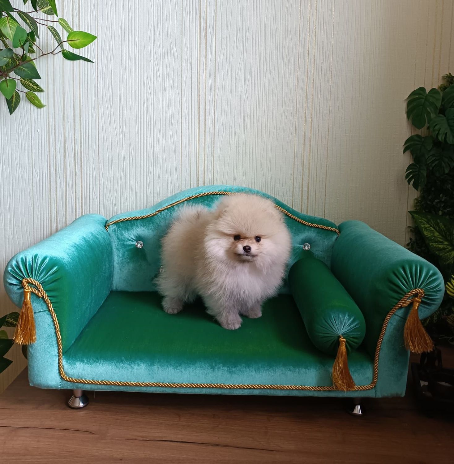 Photo №2 к отзыву покупателя Irina Vladimirovna Dokuchaeva о товаре Диванчик для собак