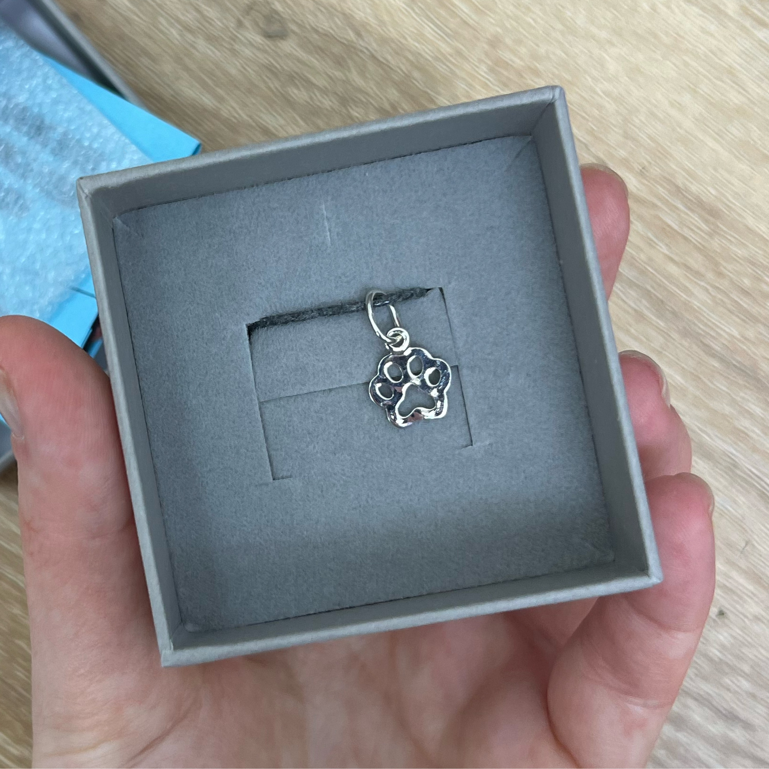 Фото №1 к отзыву покупателя lisani.yusupova о товаре Кулон лапка из серебра Подарок ветеринарному врачу.