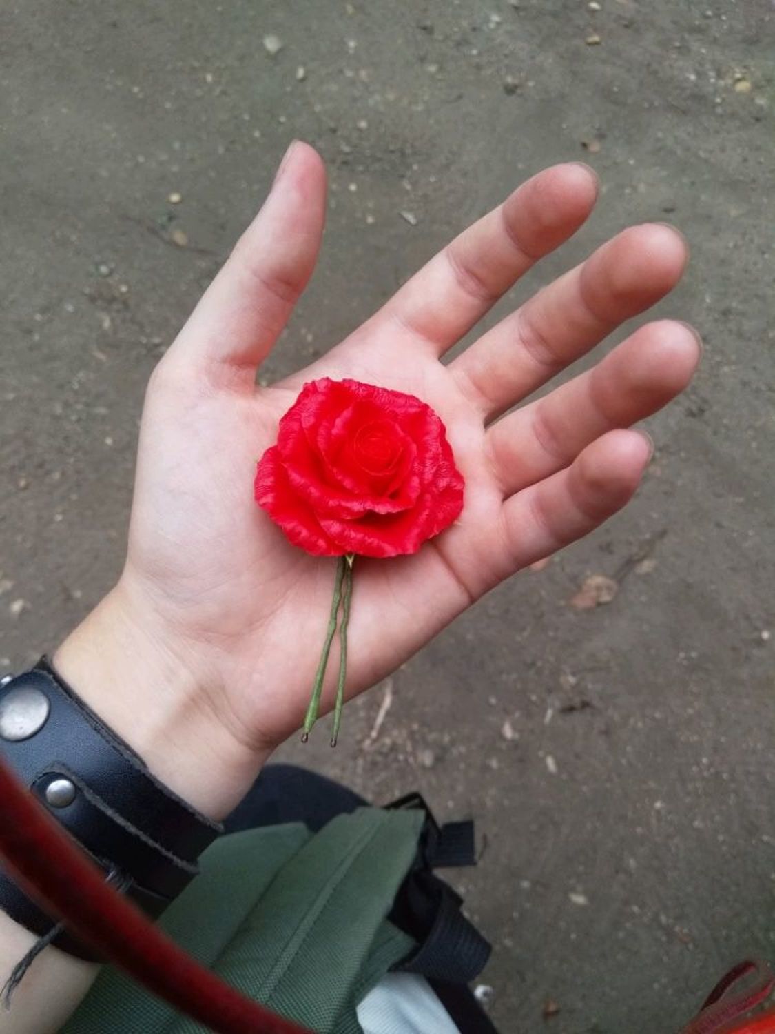 Фото №1 к отзыву покупателя focus! (art_studia) о товаре Шпильки с розами из полимерной глины.