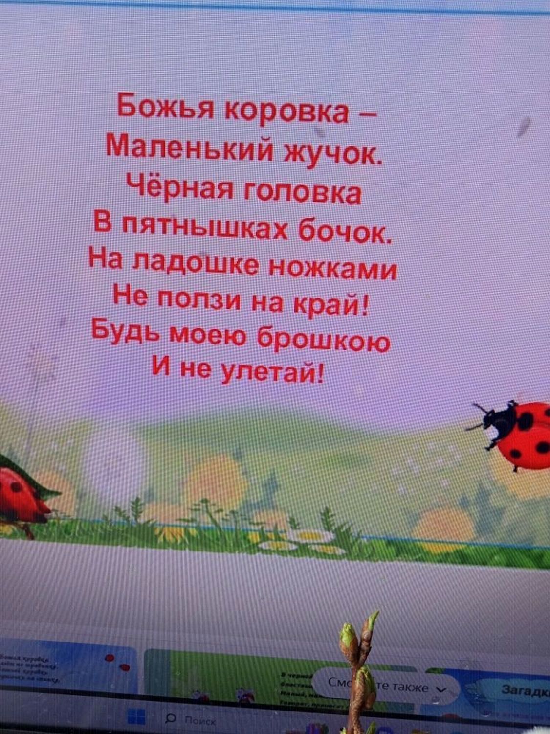 Photo №2 к отзыву покупателя LarisaZolotova о товаре Брошь Божья коровка
