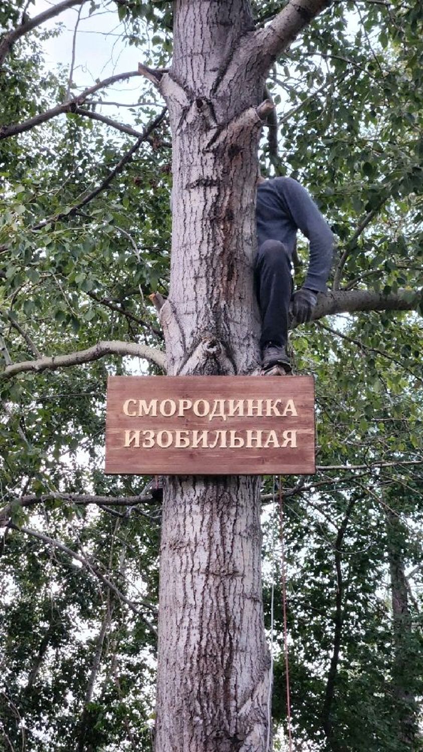 Фото №1 к отзыву покупателя Наталья о товаре Адресная табличка из дерева - декор