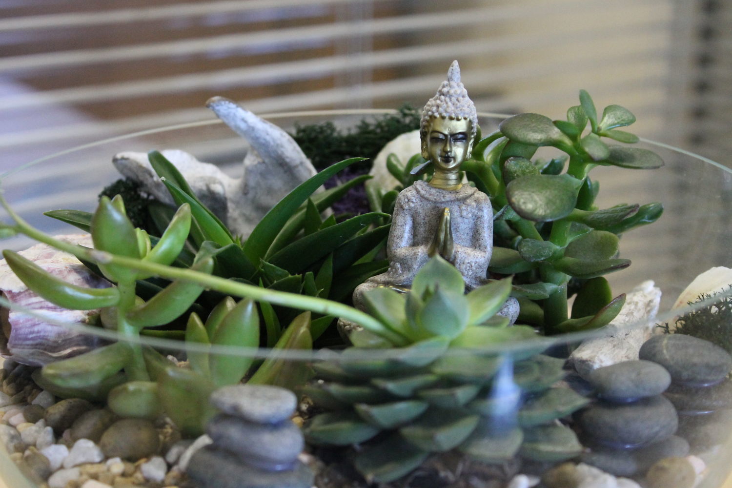 Фото №1 к отзыву покупателя Анна о товаре Флорариум с суккулентами в большой стеклянной вазе Будда