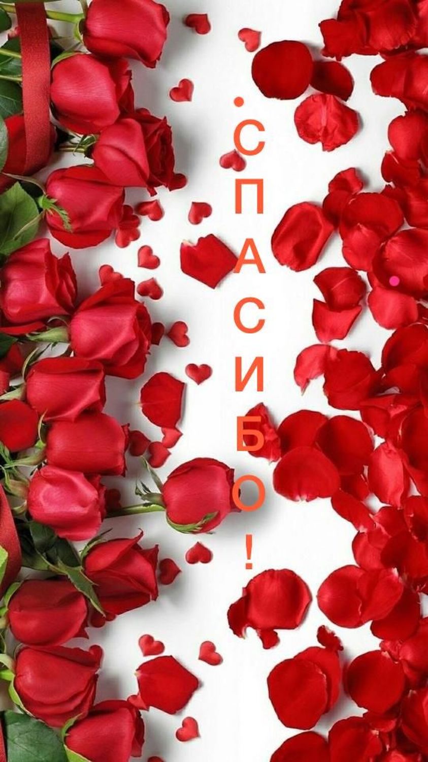 Фото №3 к отзыву покупателя ТатьЯна о товаре Винтаж: Клипсы винтажные