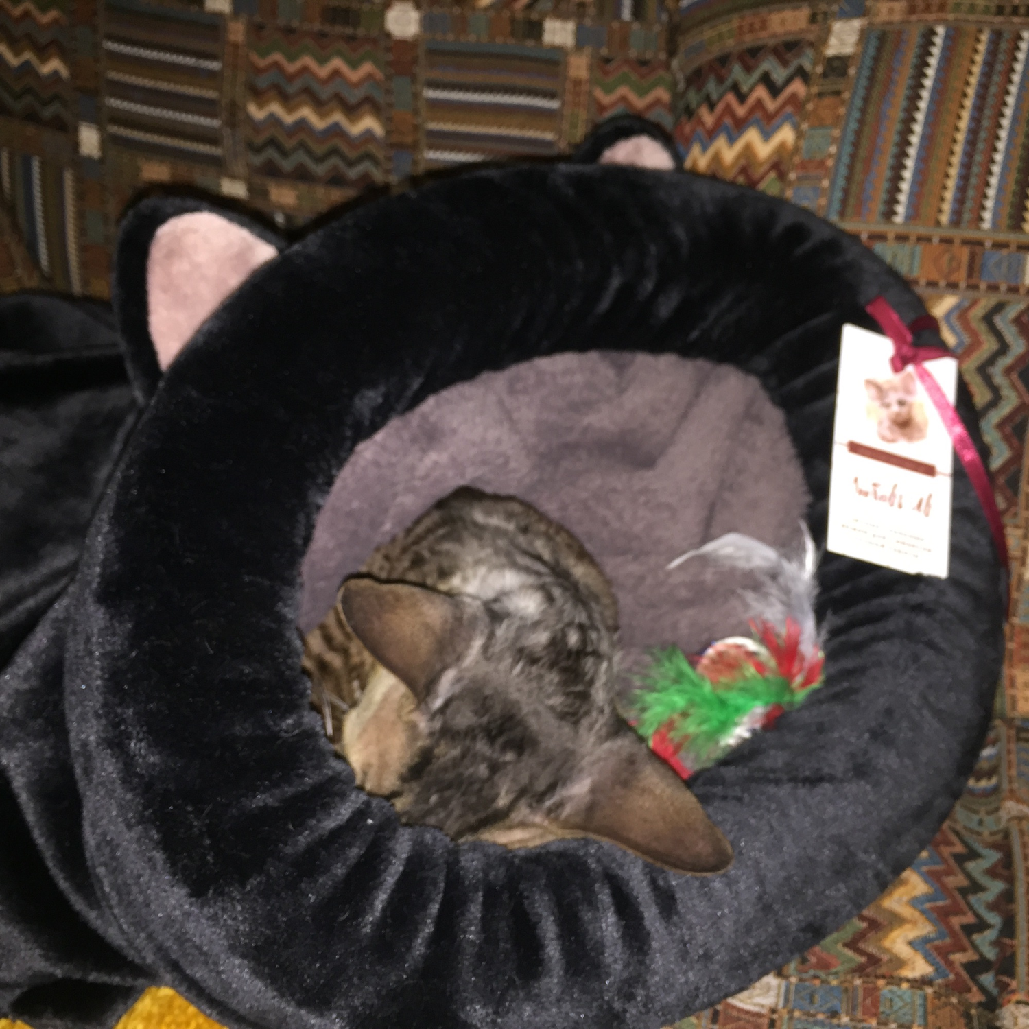Фото №2 к отзыву покупателя Лариса о товаре Лежанка - спальный мешок для кошки "Котик" черный велсофт
