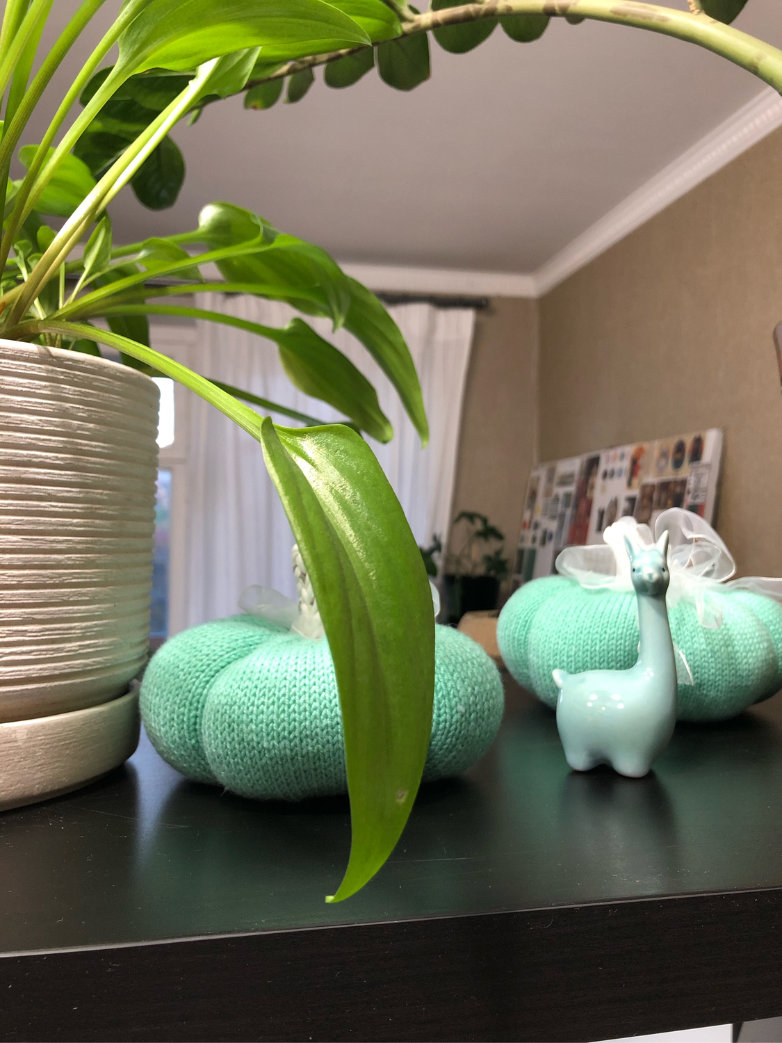 Фото №1 к отзыву покупателя N.Bo Knitwear о товаре Тыква декоративная и еще 2 товара