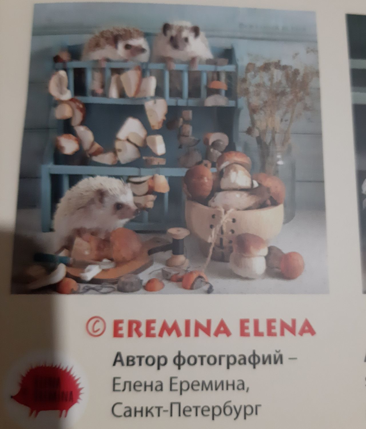 Фото №3 к отзыву покупателя Елена о товаре Новогодние сувениры: Настенный календарь ЕЖИКИ 2022
