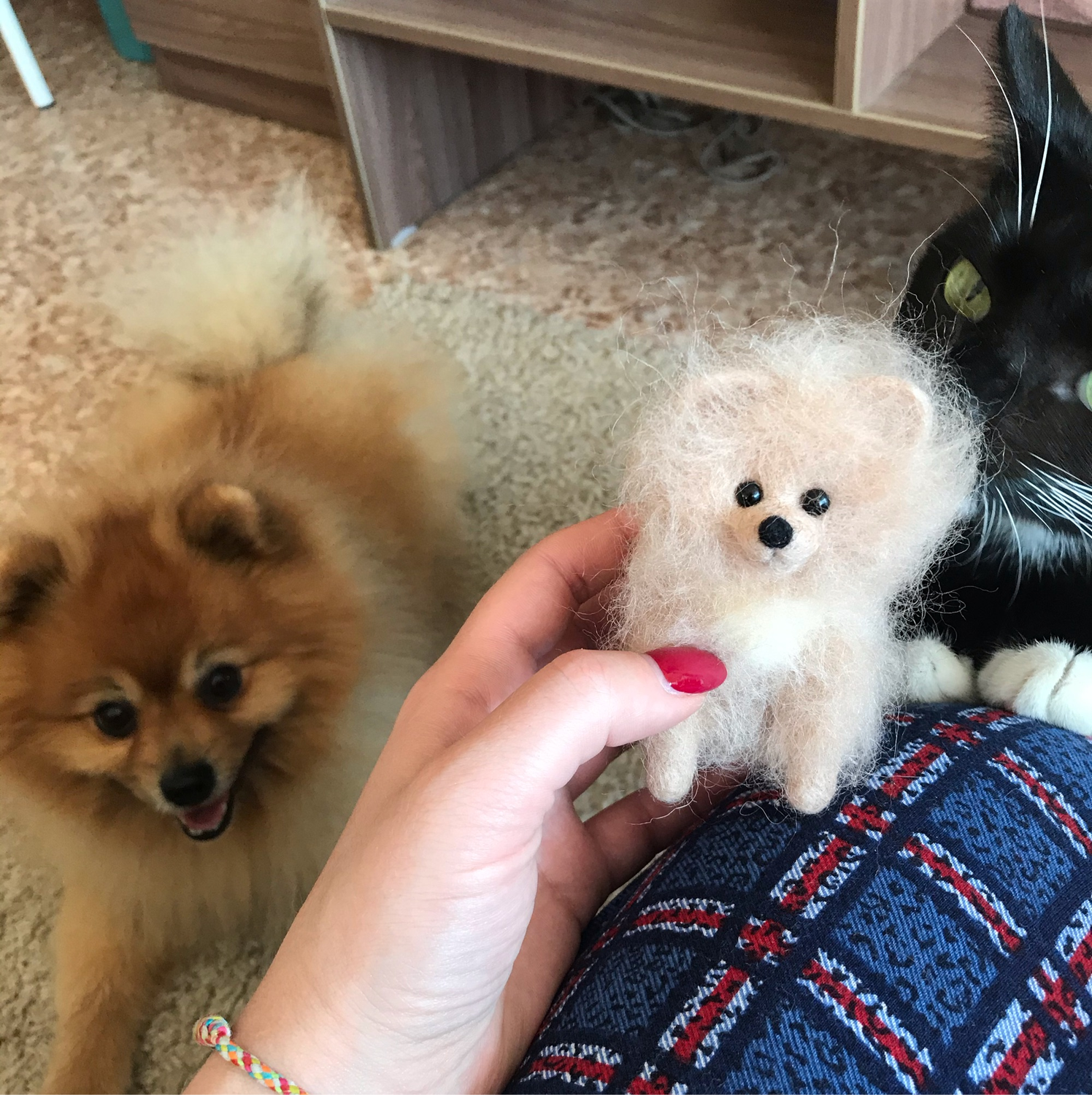 Photo №1 к отзыву покупателя Kira о товаре Шпиц