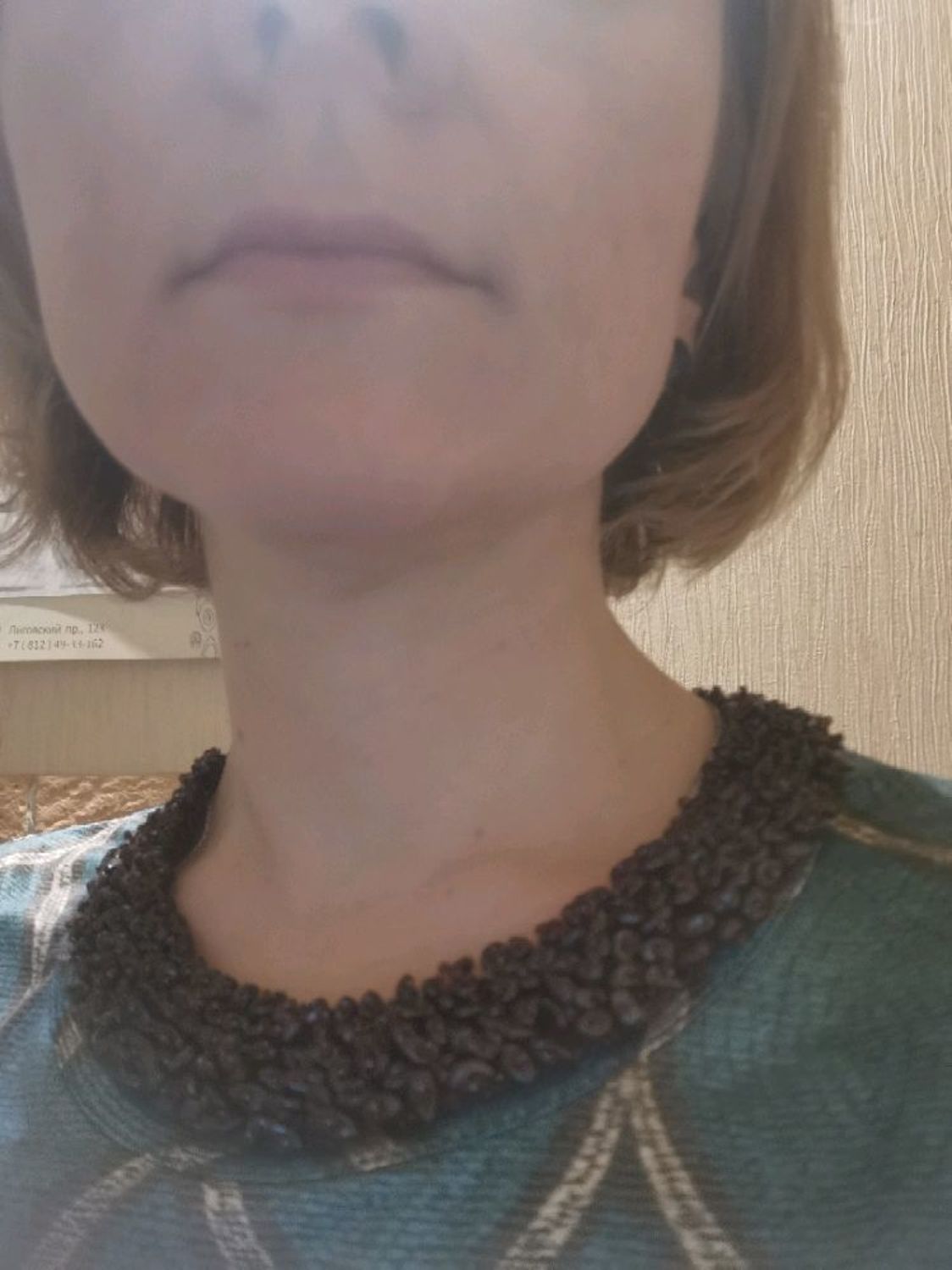 Photo №1 к отзыву покупателя Alena о товаре Ожерелье воротник