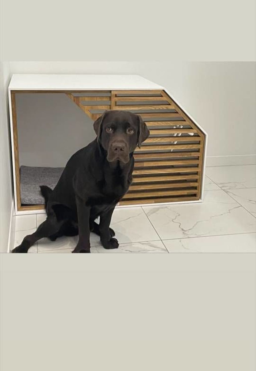 Photo №1 к отзыву покупателя Evgeniya о товаре Тумба-вольер Safe Home Wood для больших и маленьких собак + Матрас