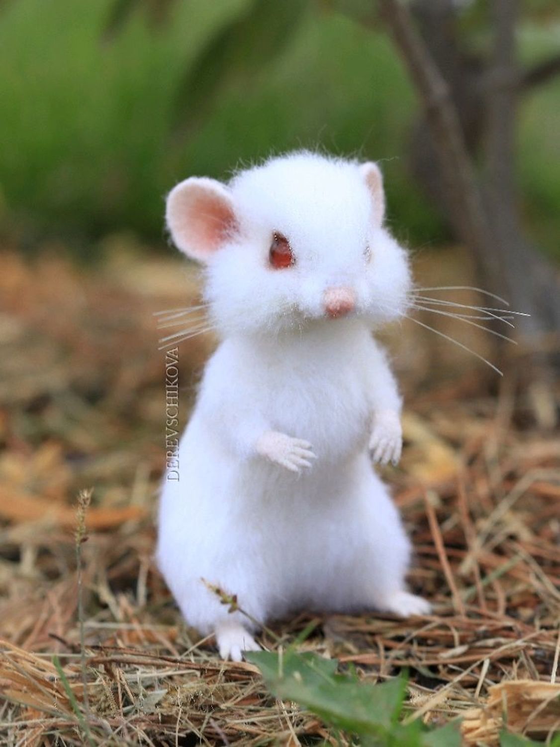 Фото №1 к отзыву покупателя Надежда Наркаева о товаре Белая мышка Норочка. Игрушка из шерсти.