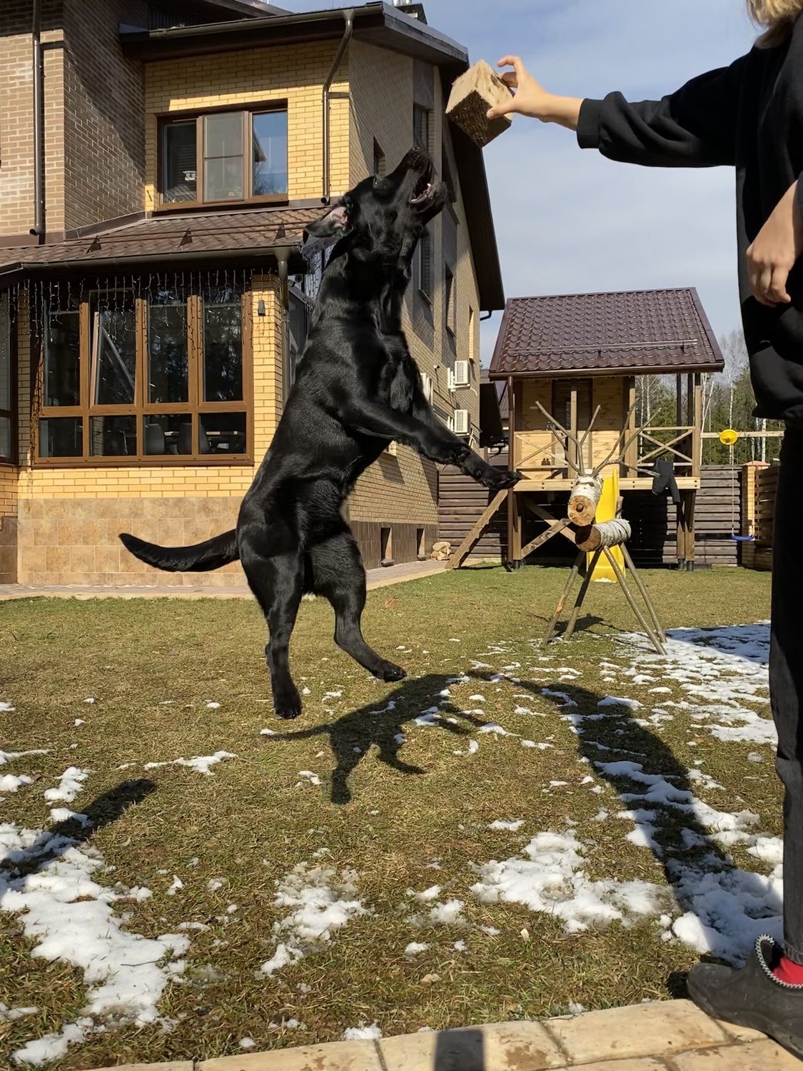 Фото №1 к отзыву покупателя Влада о товаре Детский домик в общем стиле с основным домом.
