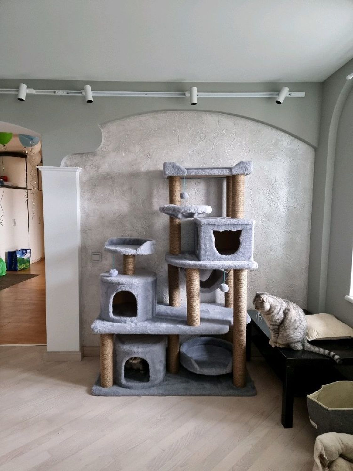 Фото №1 к отзыву покупателя Юлия о товаре Большой номер 22 комплекс для крупных кошек