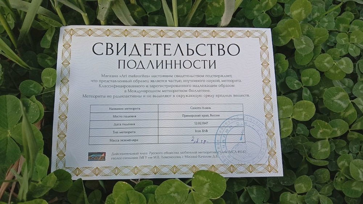 Фото №2 к отзыву покупателя Ленти о товаре Железный метеорит, Украшения: деревянный амулет с метеоритом