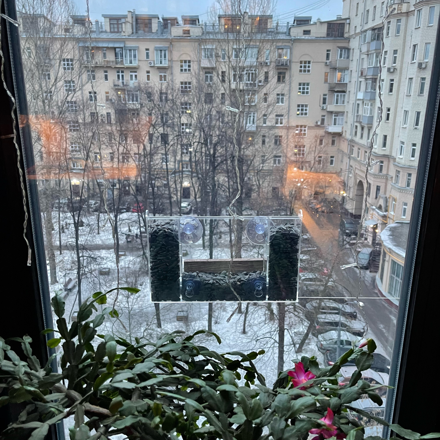 Фото №1 к отзыву покупателя DMITRY BARANOV о товаре Оконная кормушка для птиц СНЕГИРЬ на присосках