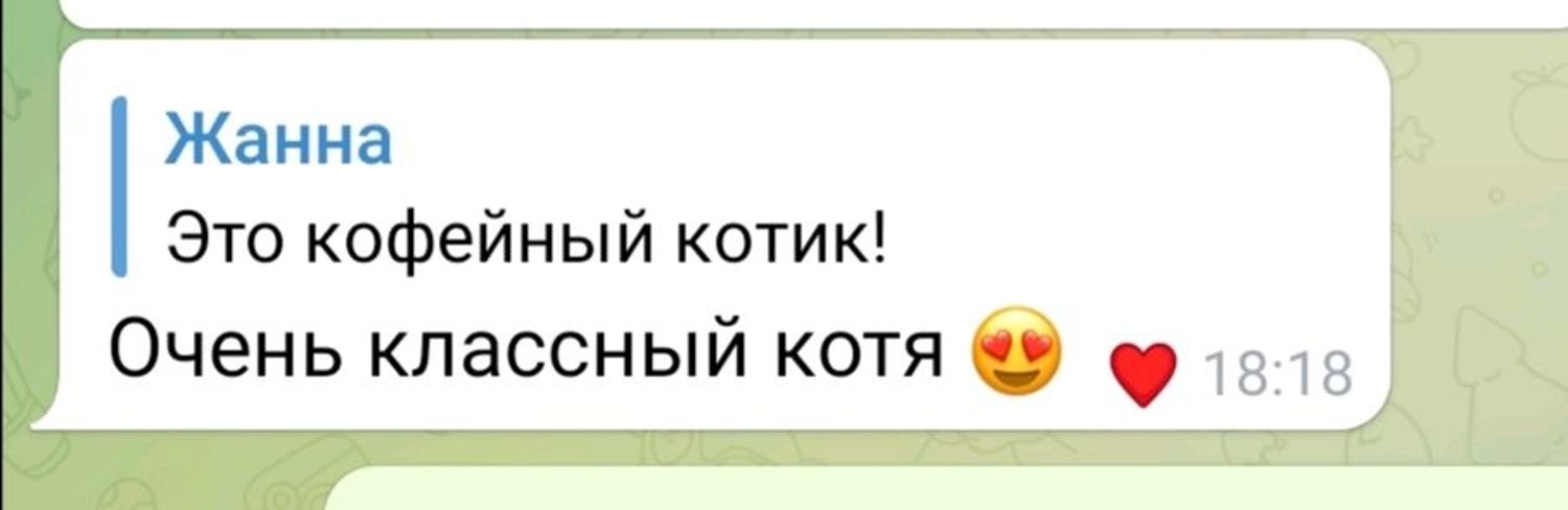 Photo №2 к отзыву покупателя Zhanna Popova о товаре Кофейный котик