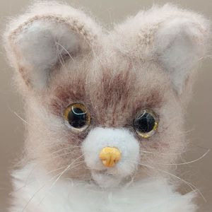 Котики