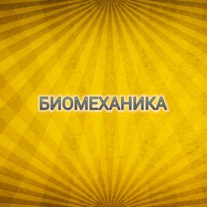 Коллекция Биомеханика