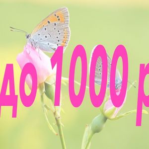 до 1000 р из камня. Распродажа