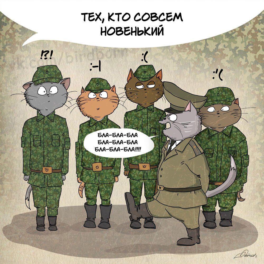 Поздравительная открытка с 23 февраля с юмором #деньзащитникатечества #открытка2
