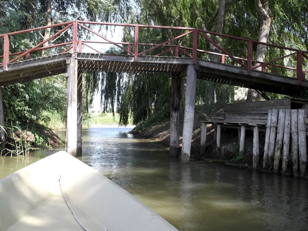 Вспоминая летний отпуск в круизе. Часть 2 Астрахань, сафари по дельте Волги в край цветущего лотоса и чуть КВНа, фото № 45