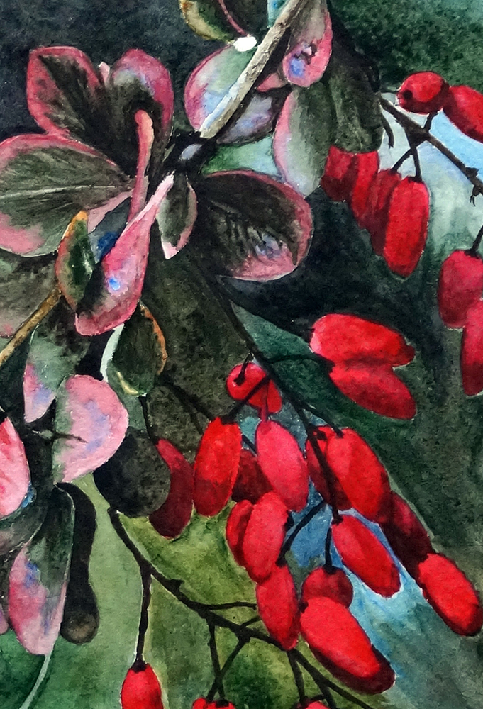 Почему я рисую ягоды, фрукты и овощи, фото № 12