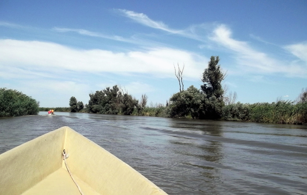 Вспоминая летний отпуск в круизе. Часть 2 Астрахань, сафари по дельте Волги в край цветущего лотоса и чуть КВНа, фото № 44