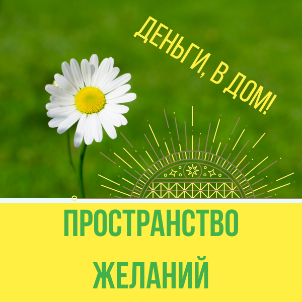 Демо-версия трансформационной игры «Деньги, в Дом! Пространство желаний!», фото № 3