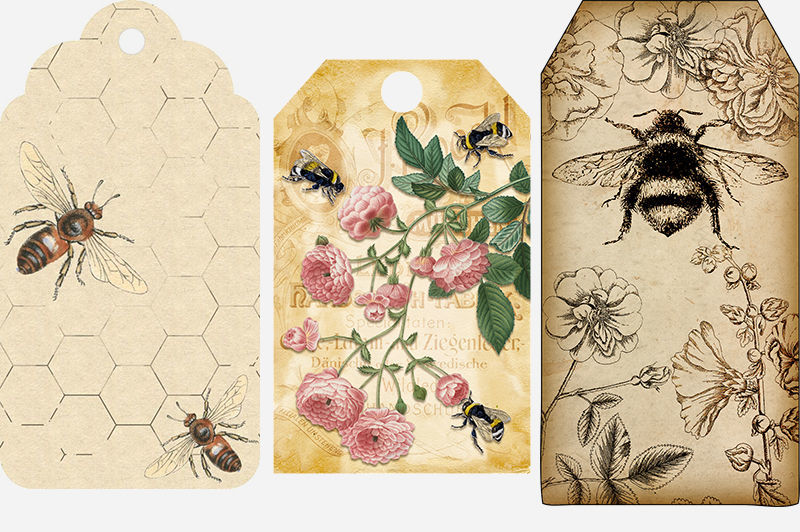 Типы пчел - диета, среда обитания и их влияние