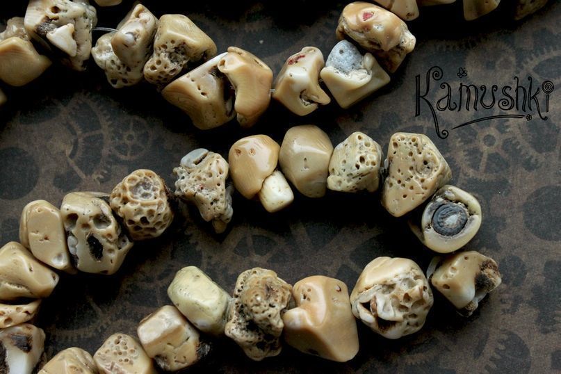 Всё, что вы хотели знать о коралле и не стеснялись спросить, фото № 14