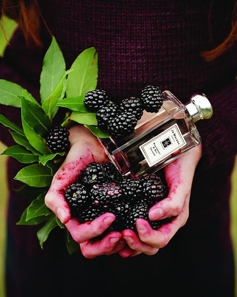 Blackberry bay отзывы. Джо Малон BLACKBERRY Bay. Духи Джо Малон ежевика. Jo Malone духи ежевика. Аромат Джо Малон блэкберри.