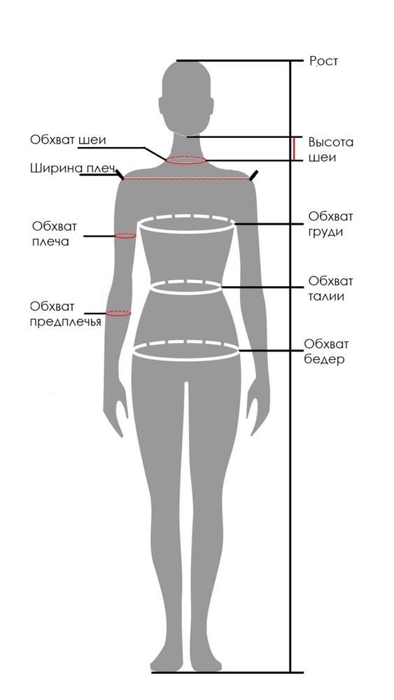 Обхват плеч норма