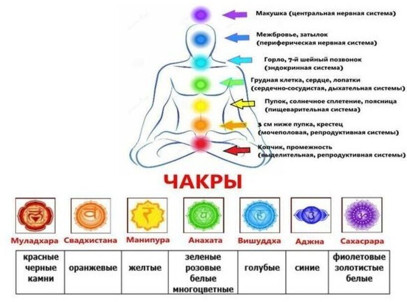 Основные чакры человека: расположение, функции и значение в йоге