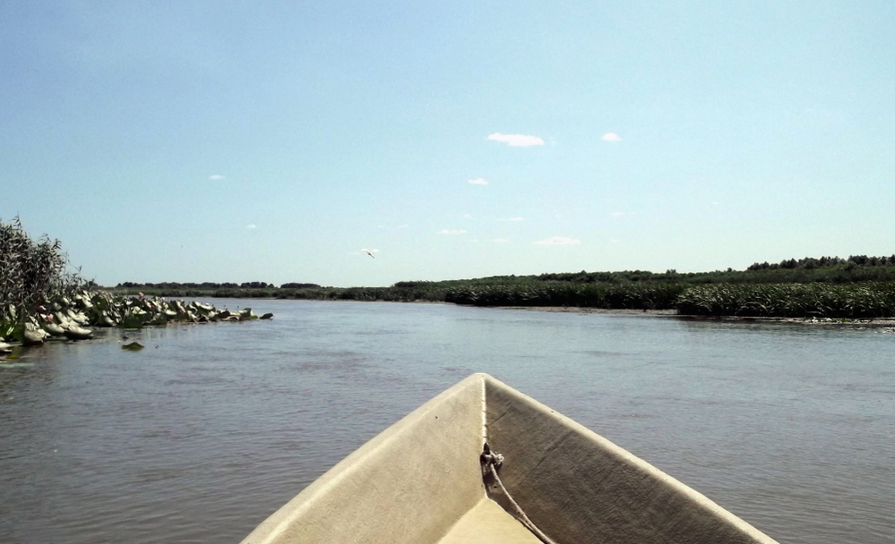 Вспоминая летний отпуск в круизе. Часть 2 Астрахань, сафари по дельте Волги в край цветущего лотоса и чуть КВНа, фото № 32