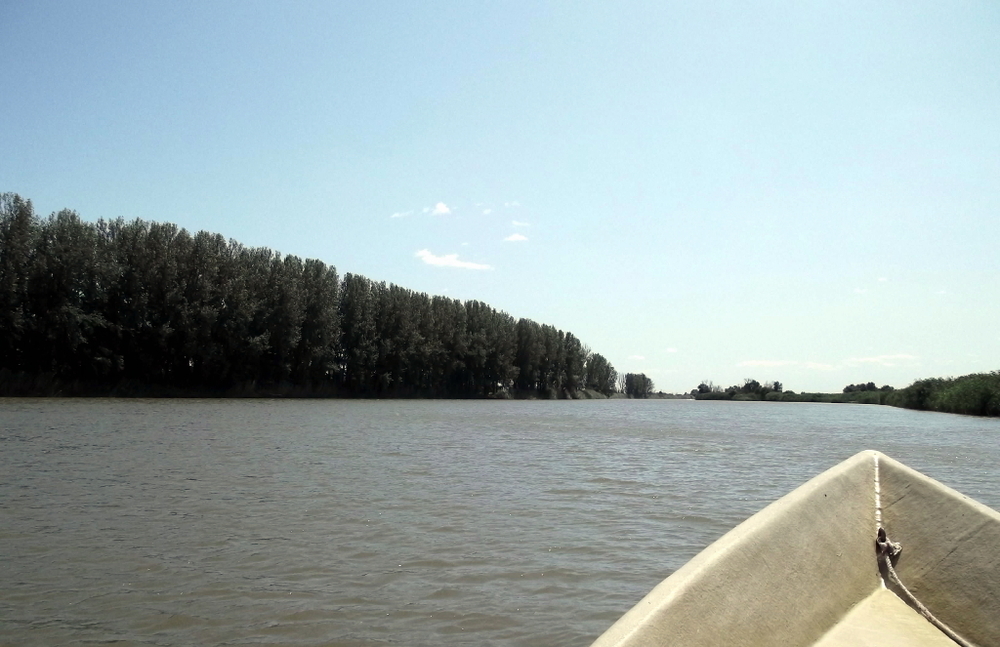 Вспоминая летний отпуск в круизе. Часть 2 Астрахань, сафари по дельте Волги в край цветущего лотоса и чуть КВНа, фото № 21