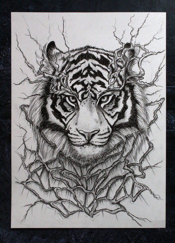 С чего начать учиться рисовать. Советы