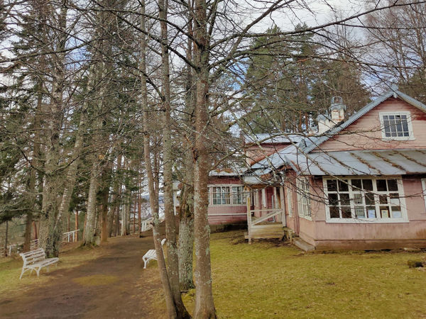 Что такое «Академичка»? Куда поехать художнику?, фото № 1