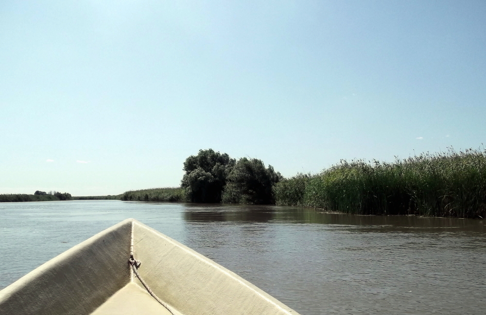 Вспоминая летний отпуск в круизе. Часть 2 Астрахань, сафари по дельте Волги в край цветущего лотоса и чуть КВНа, фото № 27