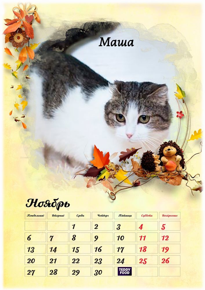Собако-кошачий календарь 2023 Ноябрь: Персональные записи в журнале Ярмарки  Мастеров