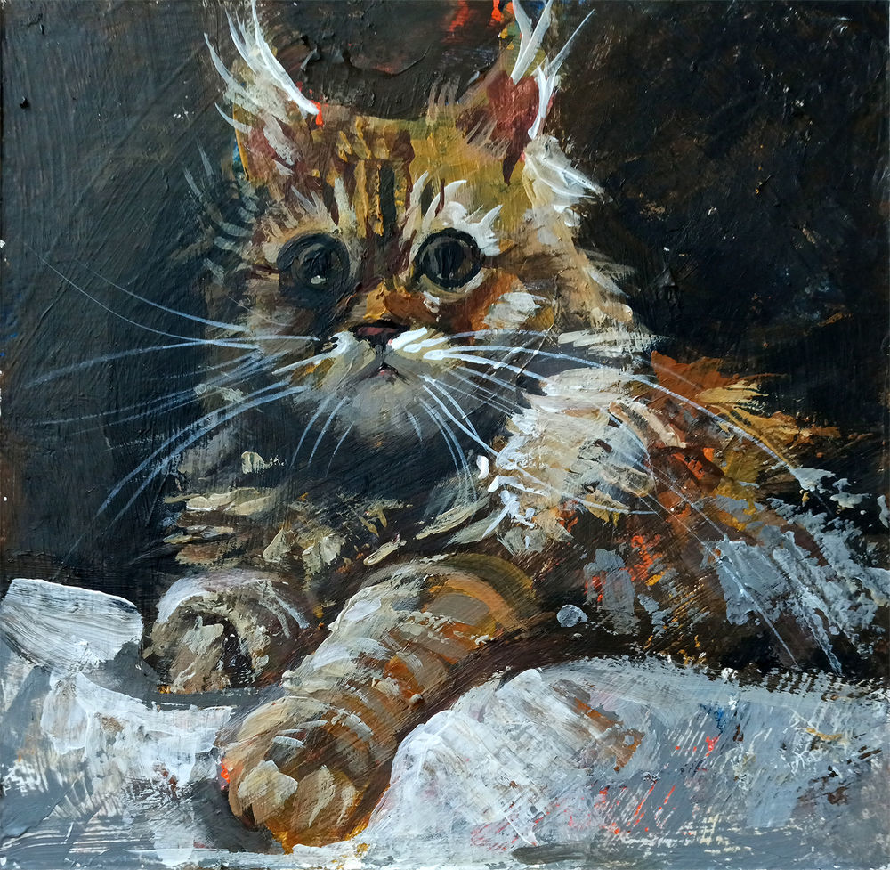 Кот 9 2. Кошка красиво сидит. Кот сидит. Кот 9 2. 9 котов фото.