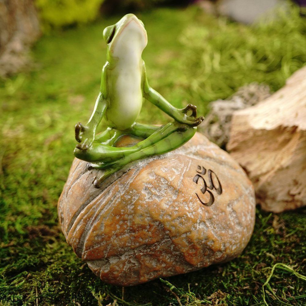 Ловлю дзен. Лягушка в медитации. Жаба медитирует. Лягушка дзен. Медитация прикольные.