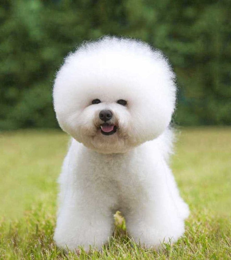 Оксанамен үйдегі порно видеолар