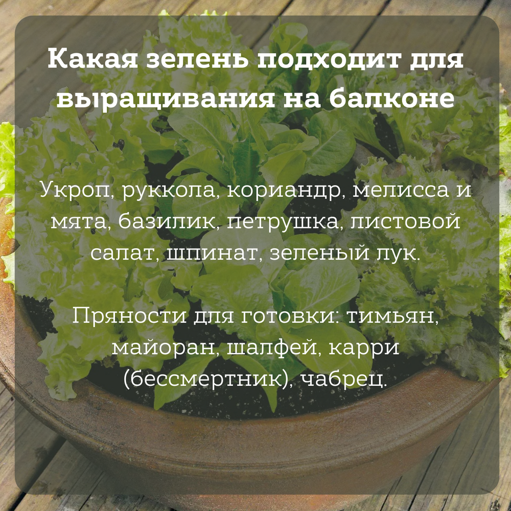 Гербициды - избавляемся от сорняков, защищаем урожай в саду и огороде