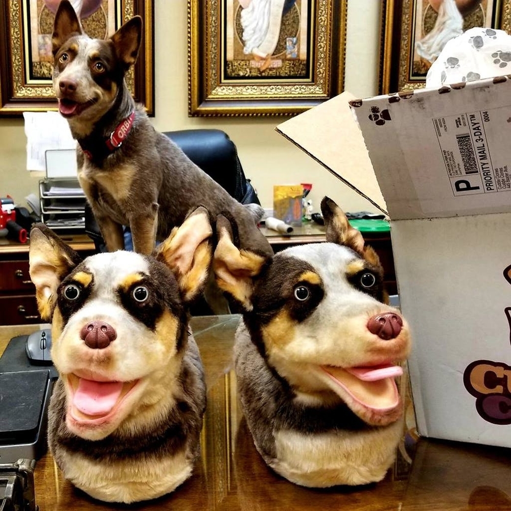the cuddle clones toy company