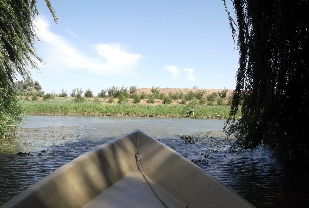 Вспоминая летний отпуск в круизе. Часть 2 Астрахань, сафари по дельте Волги в край цветущего лотоса и чуть КВНа, фото № 46