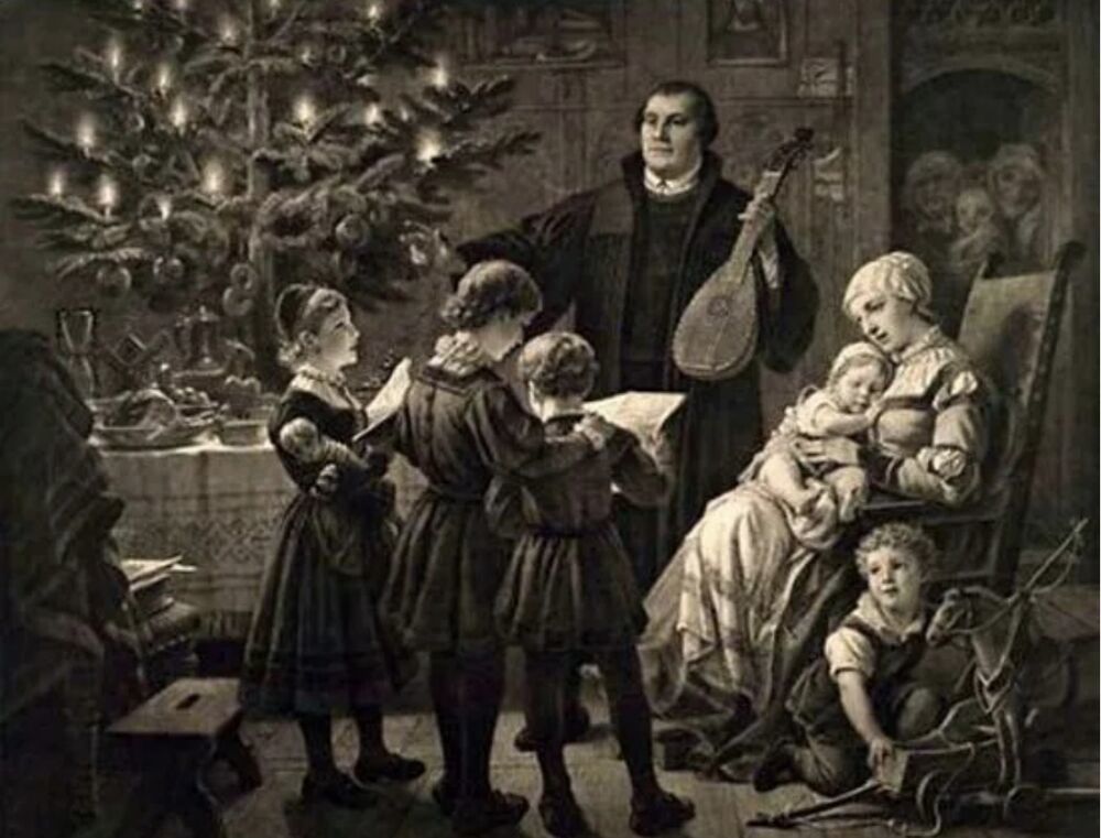 크리스마스 트리 장식, 사진 #1 크리스마스 트리 장식, 사진 #1