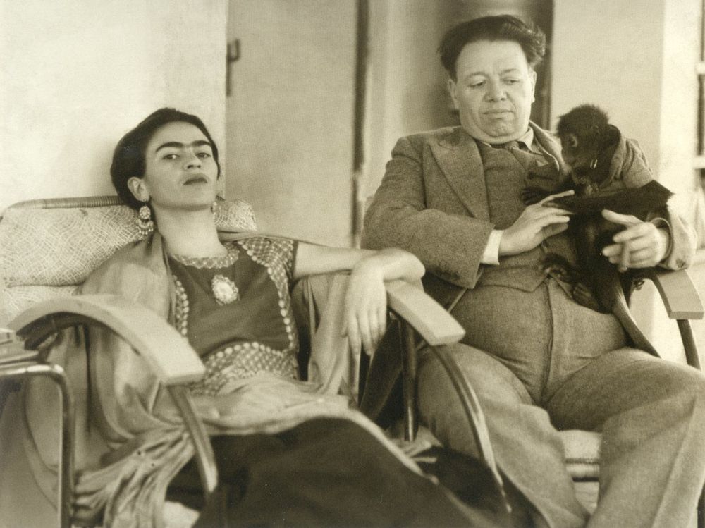 Frida And Freddy S Одежда Купить