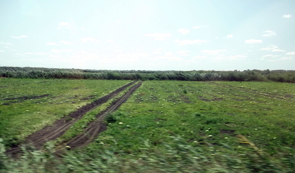 Вспоминая летний отпуск в круизе. Часть 2 Астрахань, сафари по дельте Волги в край цветущего лотоса и чуть КВНа, фото № 9