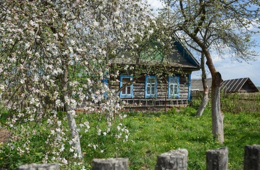 Прогулка по весеннему саду, фото № 2