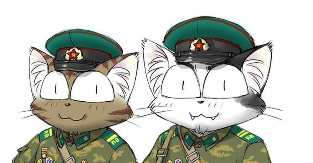 Как нарисовать котика военного